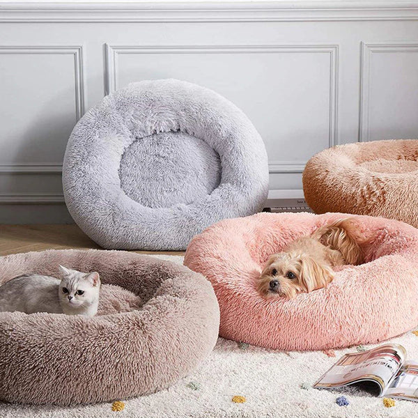 Pet Bed